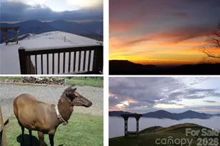 1007 Turkey Trot Rd, Clyde, NC 28721 - Photo 7