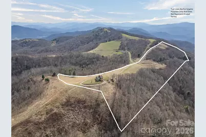 1007 Turkey Trot Road, Clyde, NC 28721 - Photo 9