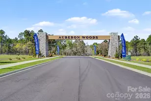 8093 Bear Claw Wy, Conway, SC 29526 - Photo 29