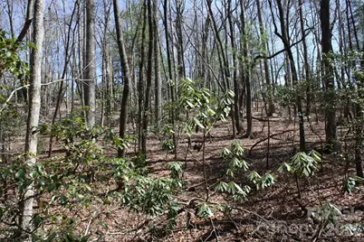 0000 Slick Rock Road, Brevard, NC 28712 - Photo 5
