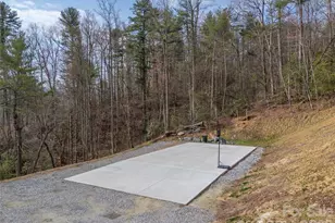 666 Never Blue Rd, Flat Rock, NC 28731 - Photo 41