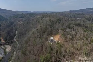 666 Never Blue Rd, Flat Rock, NC 28731 - Photo 45