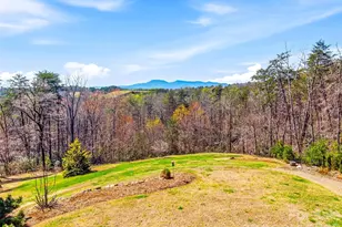 286 Preservation Trail, Columbus, NC 28722 - Photo 47