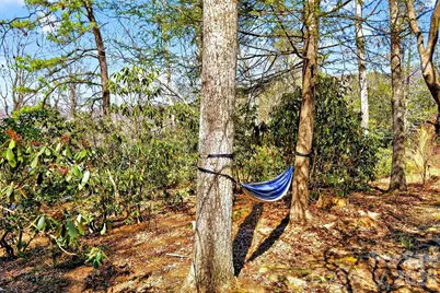 32 Tucker Road, Black Mountain, NC 28711 - Photo 45