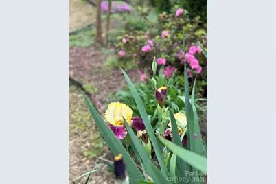 5006 Warbler Way, Lake Wylie, SC 29710 - Photo 41