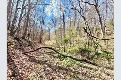 1218 Wittenburg Road, Taylorsville, NC 28681 - Photo 5