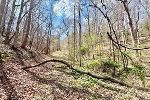 1218 Wittenburg Rd, Taylorsville, NC 28681 - Photo 5