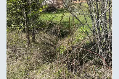 00 Chestnut Gap Road, Hendersonville, NC 28792 - Photo 5