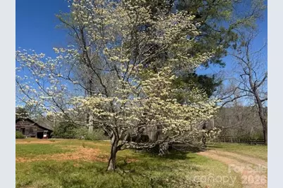 00 Coxe Road #LOT 2, Tryon, NC 28782 - Photo 9