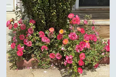 149 Alpine Ridge Drive, Asheville, NC 28803 - Photo 3