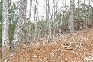 Tbd Vineyards Retreat Rd, Newland, NC 28657 - Photo 1