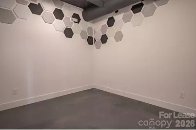 205 S Academy Street, Lincolnton, NC 28092 - Photo 11