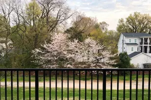 2338 Yadkin Ave, Charlotte, NC 28205 - Photo 9