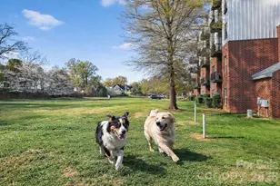 2338 Yadkin Ave, Charlotte, NC 28205 - Photo 29