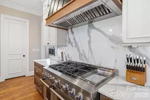 11808 Pleasant Wyatt Pl, Charlotte, NC 28277 - Photo 15