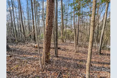 Tbd Mountain Lakes Drive #460, Tryon, NC 28782 - Photo 3