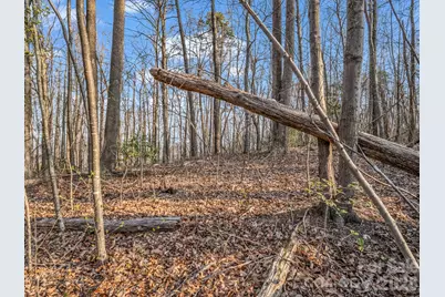 Tbd Mountain Lakes Drive #460, Tryon, NC 28782 - Photo 5