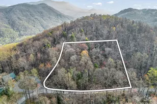 Tbd Mountain Lakes Dr, Tryon, NC 28782 - Photo 1