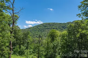 85 Iga Trl, Maggie Valley, NC 28751 - Photo 39