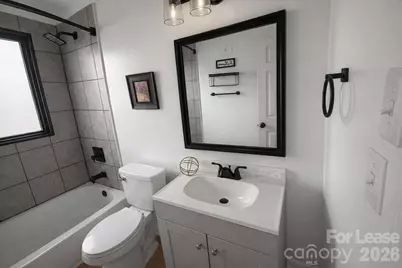 316 Skyland Avenue, Charlotte, NC 28205 - Photo 19