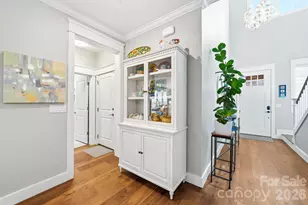 538 Sweet Birch Park Ln, Black Mountain, NC 28711 - Photo 23