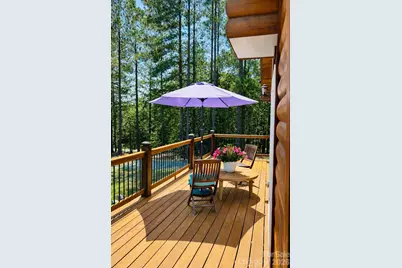 334 Arbra Mountain Way, Bostic, NC 28018 - Photo 19