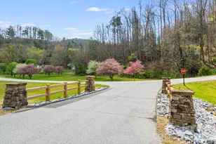 319 Morning Air Ln, Hendersonville, NC 28792 - Photo 43