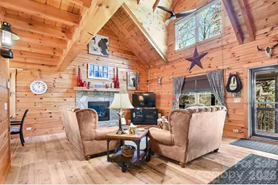 135 Poodles Way, Lake Lure, NC 28746 - Photo 3