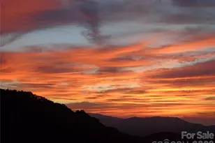 1007 Turkey Trot Rd, Clyde, NC 28721 - Photo 9