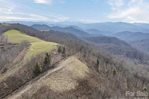 1050 Turkey Trot Rd, Clyde, NC 28721 - Photo 1
