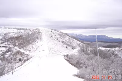 1050 Turkey Trot Road, Clyde, NC 28721 - Photo 19