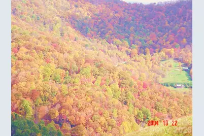 1050 Turkey Trot Road, Clyde, NC 28721 - Photo 11