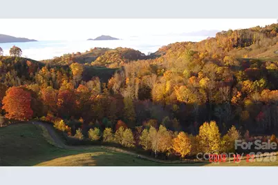 1050 Turkey Trot Road, Clyde, NC 28721 - Photo 21