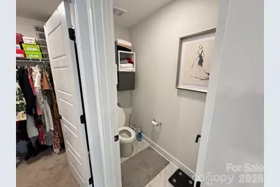 13231 Fiore Place, Huntersville, NC 28078 - Photo 31