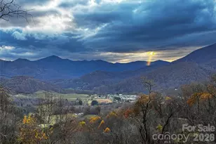 1541 Utah Mountain Rd, Waynesville, NC 28785 - Photo 31