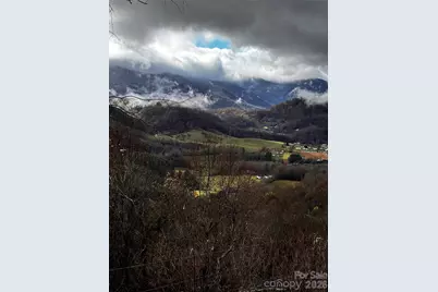 1541 Utah Mountain Road, Waynesville, NC 28785 - Photo 33