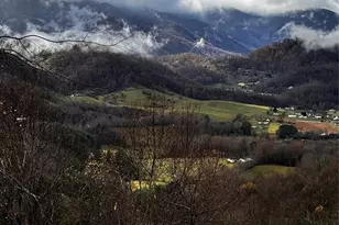 1541 Utah Mountain Rd, Waynesville, NC 28785 - Photo 33