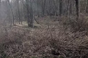 210 Apple Creek Rd, Waynesville, NC 28786 - Photo 1