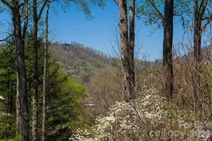 1002 Timber Ln, Asheville, NC 28804 - Photo 43