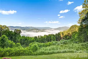 1087 Brigadoon Dr, Clyde, NC 28721 - Photo 3