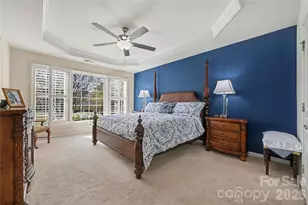 49015 Gladiolus St, Indian Land, SC 29707 - Photo 13