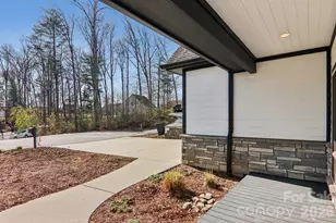 98 Hamilton Woods Ln, Etowah, NC 28729 - Photo 3