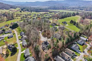 98 Hamilton Woods Ln, Etowah, NC 28729 - Photo 45