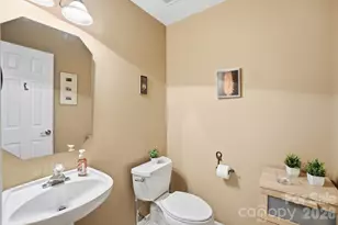 4027 Lannier Falls Ln, Charlotte, NC 28270 - Photo 25