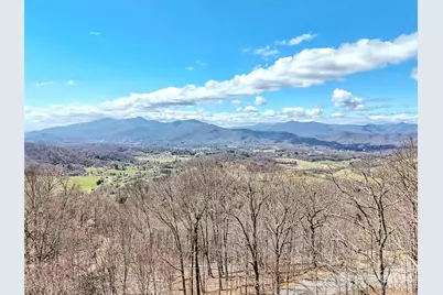 523 Brandywine Road, Waynesville, NC 28786 - Photo 45