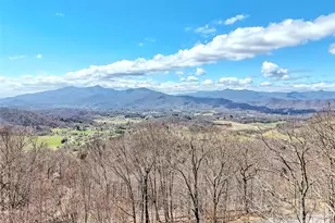 523 Brandywine Rd, Waynesville, NC 28786 - Photo 45