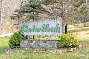 523 Brandywine Rd, Waynesville, NC 28786 - Photo 3