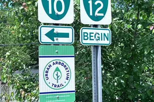 1632 Madison Ave, Charlotte, NC 28216 - Photo 11