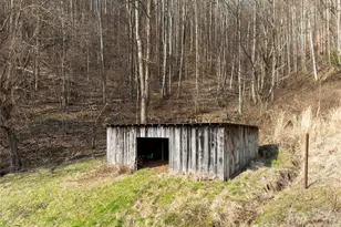 1105 Griffin Branch Rd, Marshall, NC 28753 - Photo 35