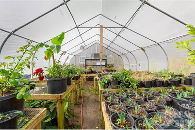 1105 Griffin Branch Road, Marshall, NC 28753 - Photo 27